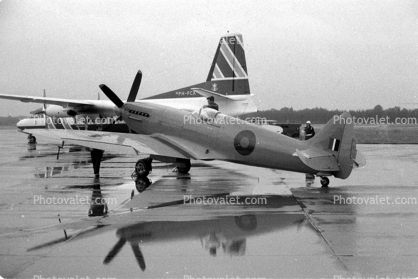 Spitfire, 1950s
