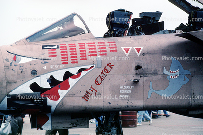 A-10 Thunderbolt Warthog, shark