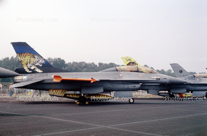 Lockheed F-16 Fighting Falcon, Tiger TAIL