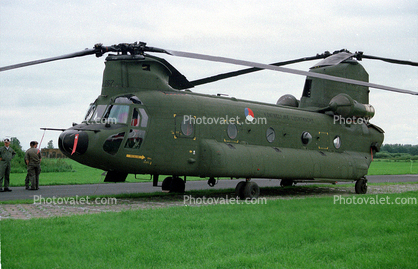 D-667, Koninklijke Luchtmacht, Boeing CH-47D Chinook, Royal Netherlands Air Force, Dutch, RNAF, Nederlandse