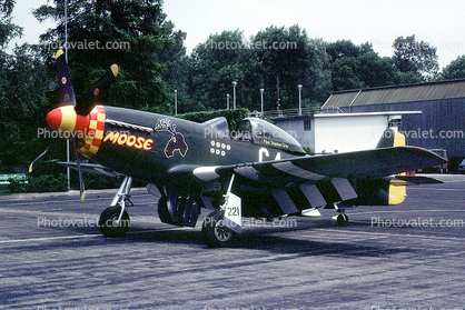 North American P-51D Mustang, Moose, D-Day Invasion Stripes, Identification Markings
