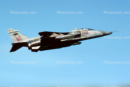 airborne, flight, flying, Jaguar fighter jet, aircraft, airplane, aviation