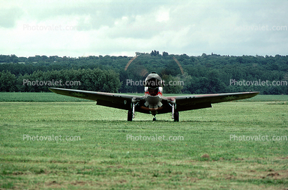 Head-on view of a P-40
