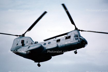 7724, 10, Operation Kernel Blitz, Boeing CH-46 Sea Knight, urban warfare training