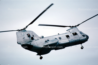 7724, 10, YJ, Boeing CH-46 Sea Knight, urban warfare training, Operation Kernel Blitz