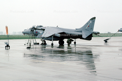 ZD323, AV-8B Harrier