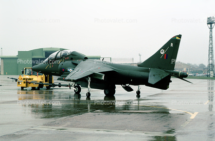 AV-8B Harrier, trainer