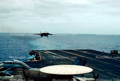 Tomcat on Final, fantail, 100