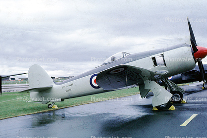Hawker Sea Fury FB MkSaint11