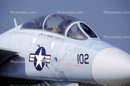 Grumman F-14 Tomcat