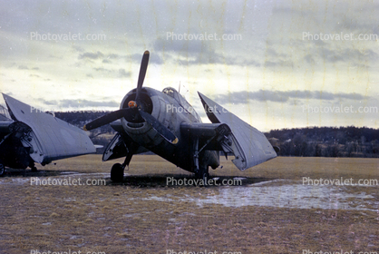 Grumman Avenger, USN, United States Navy