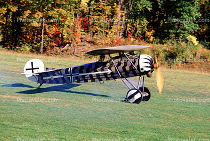 Fokker DVIII Monoplane