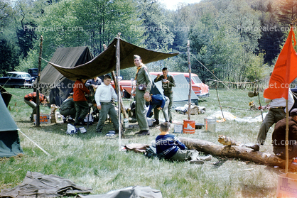 Camping with the Boy Scouts, Tents, Forest