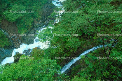 Kegon Falls, Kegonnotaki, Trees, Waterfall, Nikko