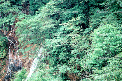Trees, Forest, Waterfall, Nikko