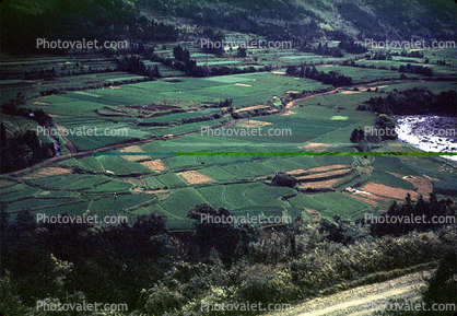 Rice Paddies, River, Mountain, Hills, Kuyushu