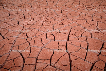 Cracked Earth, dried mud, cracks, Dirt, soil, Craquelure