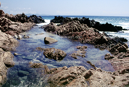 Rocks, Tide Pools, waves, Pacific Ocean