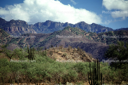 desert, mountains, hills, Batopilas, Chihuahua