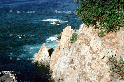 Cliff, tree, ocean, Diver