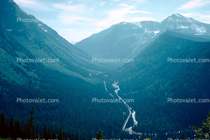 Peyto Creek, Icefields Parkway, U-shaped valley, forest