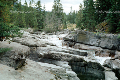 Stream, Rocks, Water, Trees, Cascade