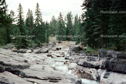 Maligne Canyon, creek, river, rapids, rock, trees, forest