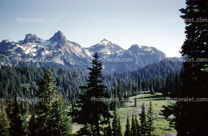 Mountains, Trees, Woodlands, Peaks, Forest