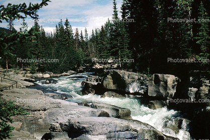 River, Rapids, Footbridge, woodland, trees, vibrant water, Athabasca River, whitewater, rapids, turbulent, Falls
