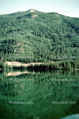 forest, mountains, lake, reflection, trees, water