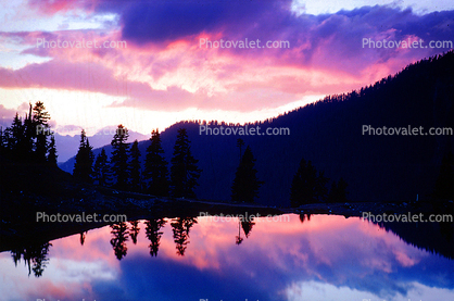 Reflecting Lake, Sunset, Clouds, Trees, water