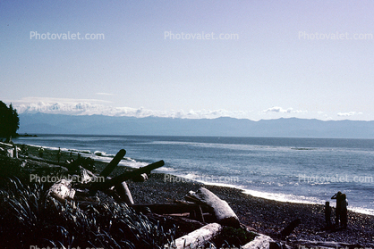Beach, driftwood, ocean, French Beach Provincial Park, Picnic Bench, water, Vancouver Island