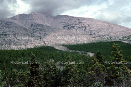 Summit Mountain, June 1993