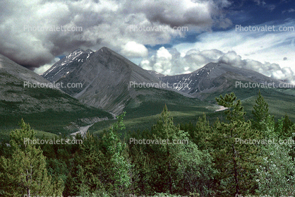 near Muncho Lake, Mountains, trees, June 1993