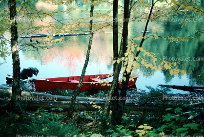 Rowboat, Lake, Woodlands, water