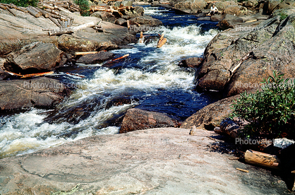 Rapids, Water, River, Rocks