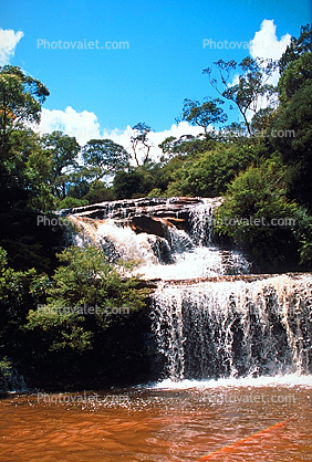 Waterfall, Rain Forest