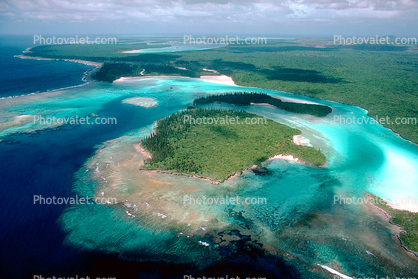 Coral, Island, Forest, Trees, Barrier Reef, Pacific Ocean, shore, shoreline, coast