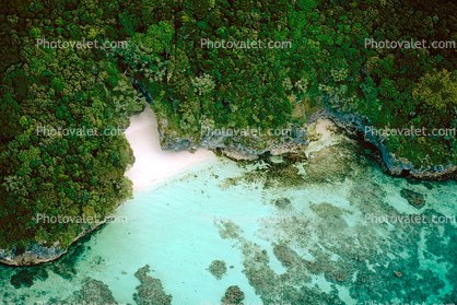 Coral, Island, Forest, Trees, Pacific Ocean, shore, shoreline, coast