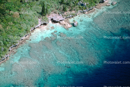 Coral, Island, Forest, Trees, Pacific Ocean, shore, shoreline, coast