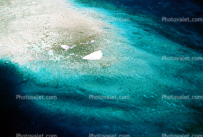 Barrier Reef, Coral, Island, Forest, Trees, Pacific Ocean