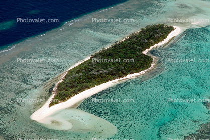 Barrier Reef, Coral, Island, Forest, Trees, Pacific Ocean, shore, shoreline, coast