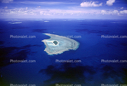 Barrier Reef, Coral, Island, Forest, Trees, Pacific Ocean, Seascape