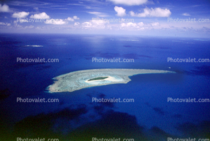 Barrier Reef, Coral, Island, Forest, Trees, Pacific Ocean