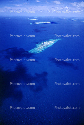 Barrier Reef, Coral, Island, Pacific Ocean