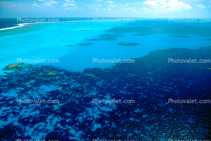 Barrier Reef, Coral, Pacific Ocean