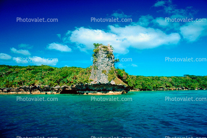 Tropical forest, Island, Coral Reef, Pacific Ocean