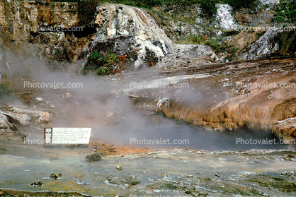 geothermal activity, Thermal Pool, Geothermal Feature, Rotorua