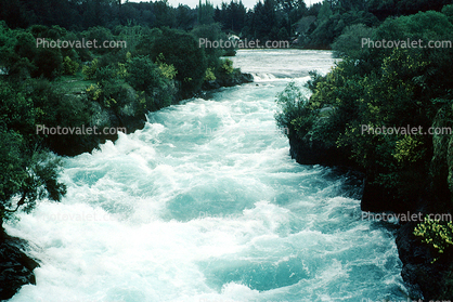 Vibrant River, whitewater rapids, River, water