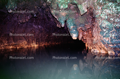 Water Cave Entrance, underground, cavern, fairy tale land, Rotorua